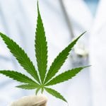 Cannabinoids CBC and CBG exhibit anti-tumour properties on cancer cells