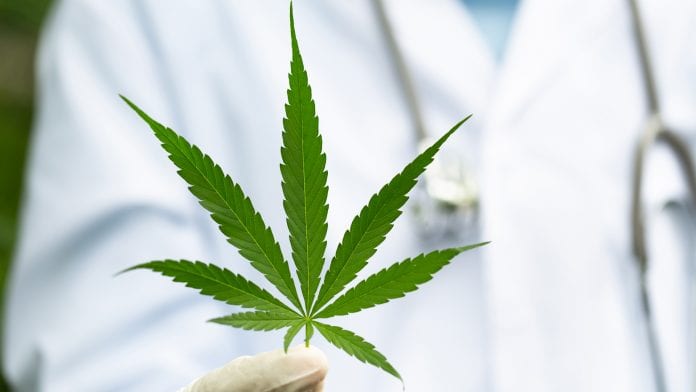 iStock-Kanjana Jorruang Cannabinoids CBC and CBG exhibit anti-tumour properties on cancer cells
