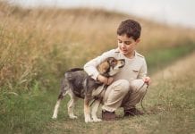 Early-life exposure to dogs may reduce risk of schizophrenia