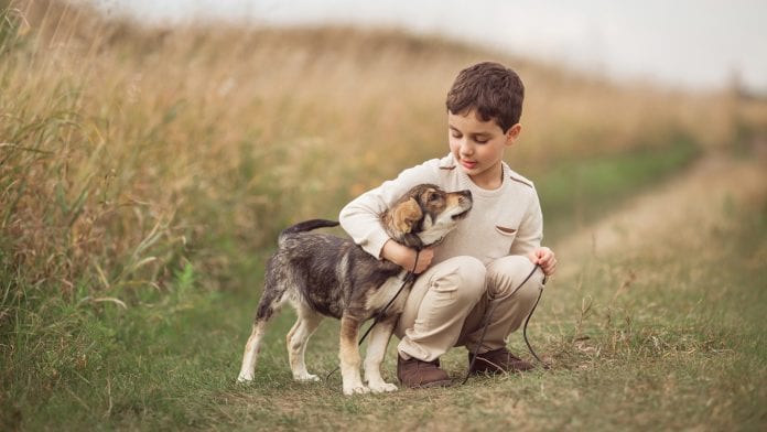 Early-life exposure to dogs may reduce risk of schizophrenia