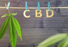 CBD: understanding how CBD works with our bodies
