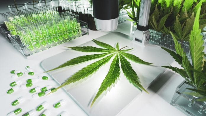 Gift of $1.5m for cannabinoid research at Colorado State University