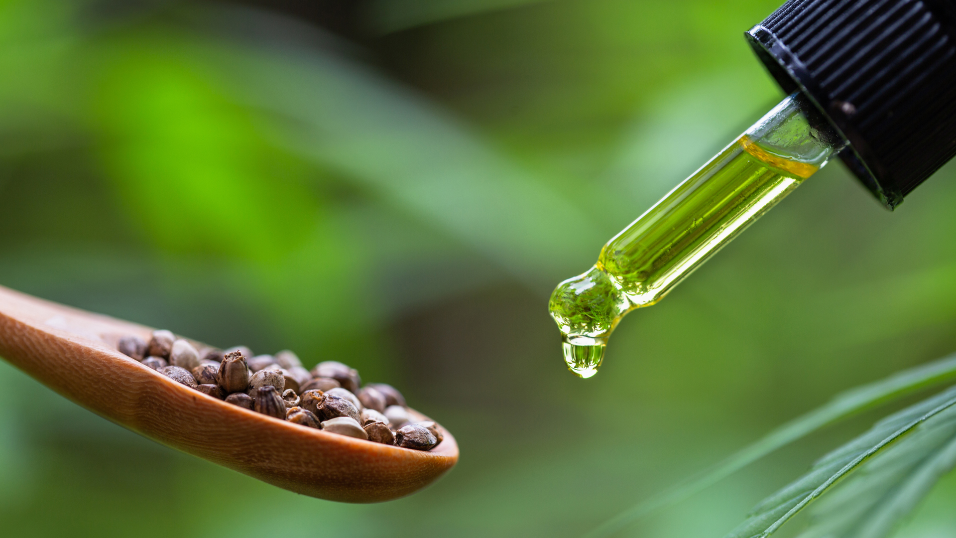 Celtic Wind: Leading the way in the hemp industry for a sustainable future