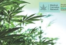 Introducing the Medical Cannabis Network Editorial Advisory Board