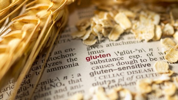 dictonary definition of gluten