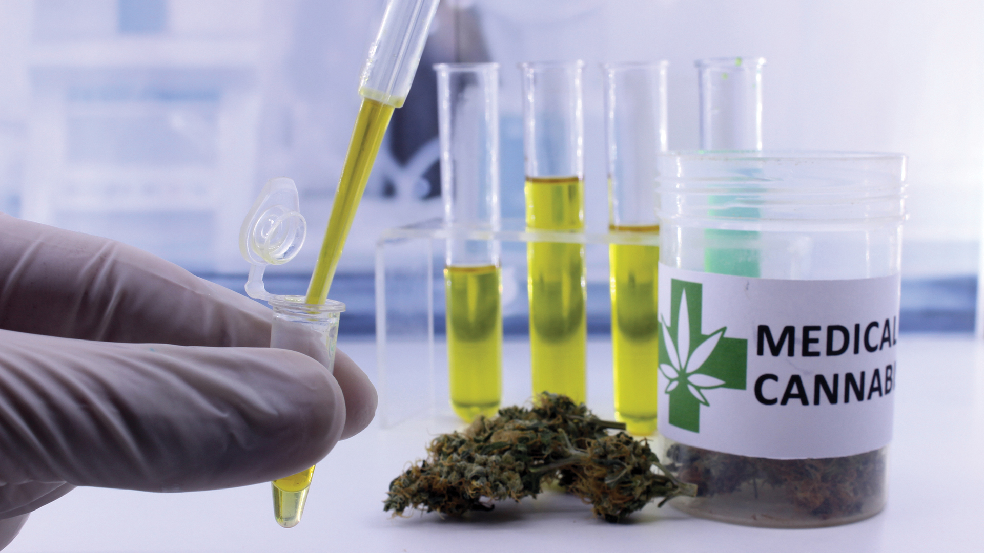 The cannabis industry can be characterised by one thing – relentless change