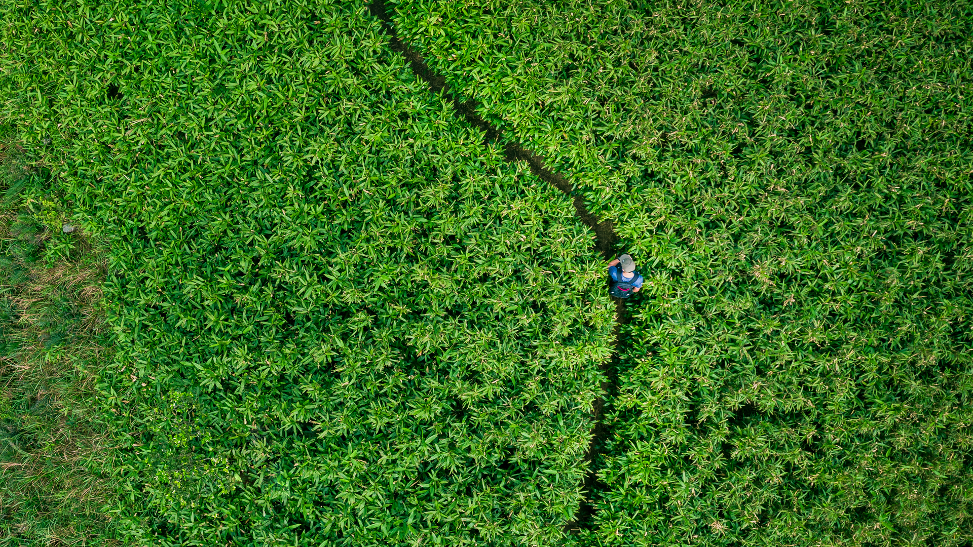 Mile High Labs: Making ‘retail ready’ CBD a reality