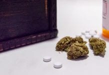 Daily cannabis users with chronic pain less likely to use opioids