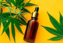 CBD products do not fall under scope of Novel Food schedule says CTA