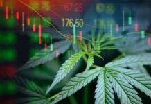 Thematic ETF pioneers launch global medical cannabis ETF