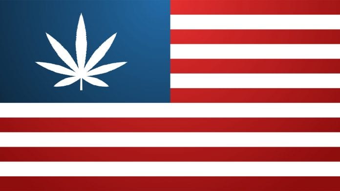 The evolution of the American cannabis industry in the last decade