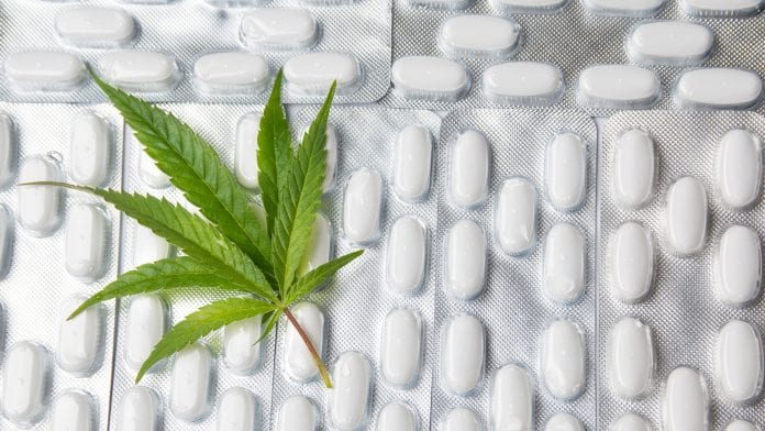 Combining cannabis and opioids leads to higher anxiety and depression