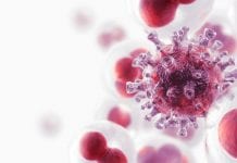 WHO: “Cancer should not be a death sentence for anyone, anywhere” Cancer cells