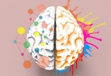Brain left and right creativity functions concept