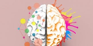 Brain left and right creativity functions concept