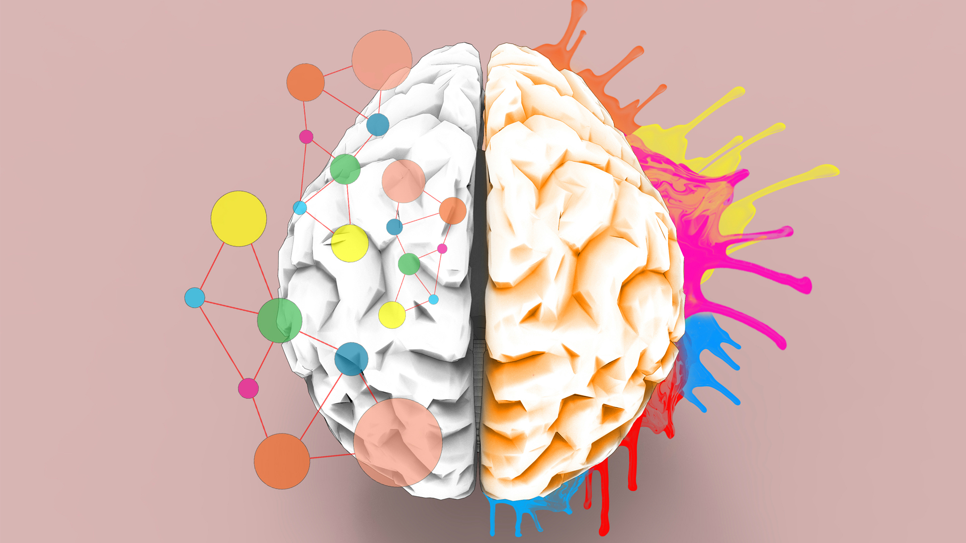 Brain left and right creativity functions concept