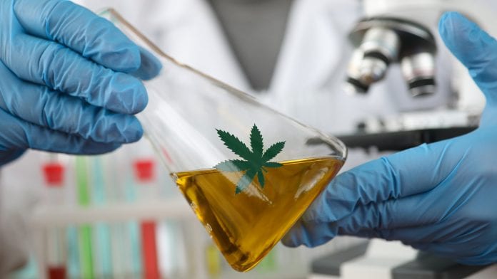 Revolutionising medicine: from methadone man to cannabis chief