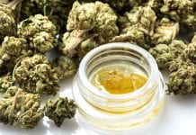 Illicit-vape deaths highlight urgency of legalising cannabis