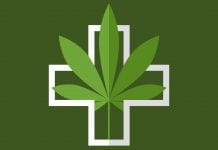 Antibiotic potential of cannabis: CBG compound resistant to MRSA Antibiotic potential of cannabis: CBG compound resistant to MRSA