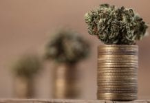 CBD market on course to grow 400% in Europe alone 