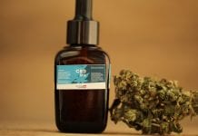 Past and future: the growth of CBD medicine Past and future: the growth of CBD medicine