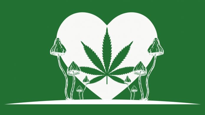 iStock-Olga Volkovaia-mushroomstore Cannabis and psychedelics: gatherings to accelerate plant-based medicine