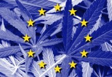 Prohibition Partners Launches the European Cannabis Report: 5th Edition