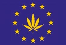 European cannabis testing market expected to reach $807.9m by 2025