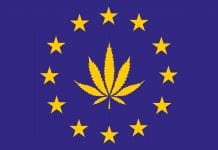 European cannabis testing market expected to reach $807.9m by 2025 European cannabis testing market expected to reach $807.9m by 2025