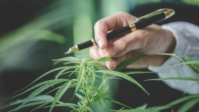 California’s Golden Gate University offers cannabis business course