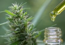 CBD education: 71% of Brits do not know if CBD has drug-like effects