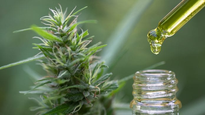 CBD education: 71% of Brits do not know if CBD has drug-like effects