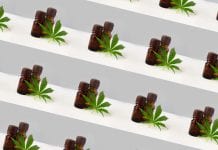 FSA issues first ever CBD safety advice and sets deadline for businesses
