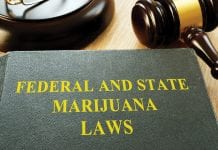 Reforming cannabis policy on a state and federal level in the USA