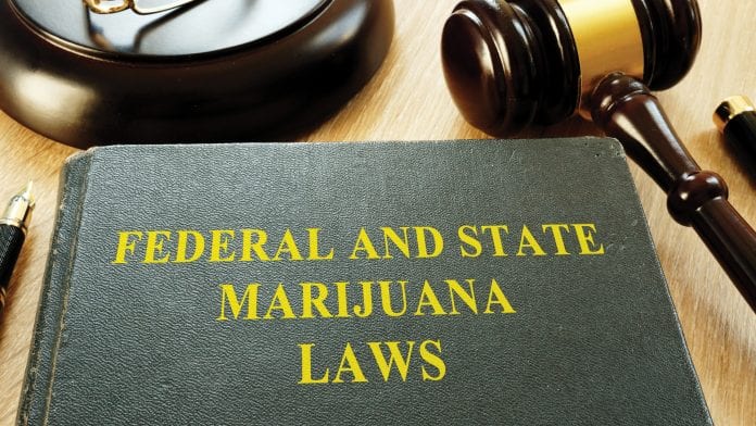 Reforming cannabis policy on a state and federal level in the USA