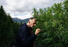 Arge Canna: medical cannabis lobbying and patient advocacy in Austria
