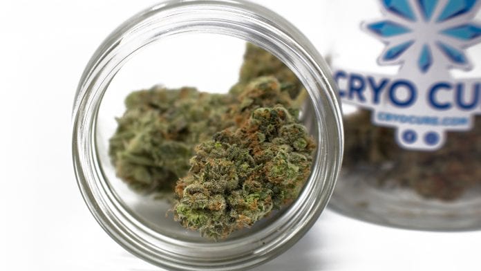 Cryo Cure: perfecting the cannabis drying and curing process