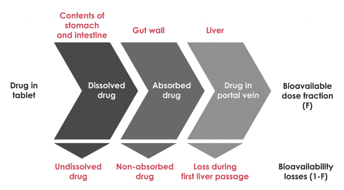 Fig. 1 Illustration of bioavailability