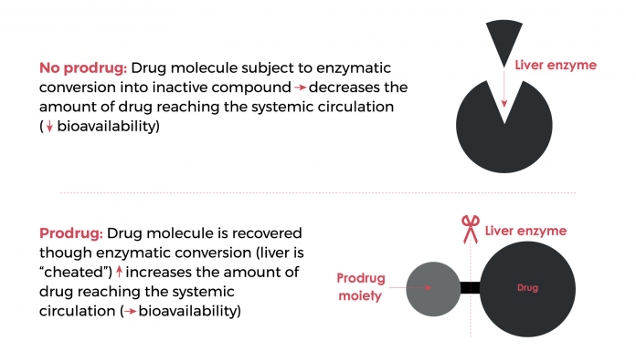 Fig. 2 Illustration of the pro-drug concept