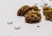 How medical cannabis can help fight against the US opioid crisis