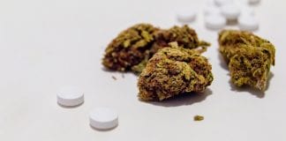 How medical cannabis can help fight against the US opioid crisis