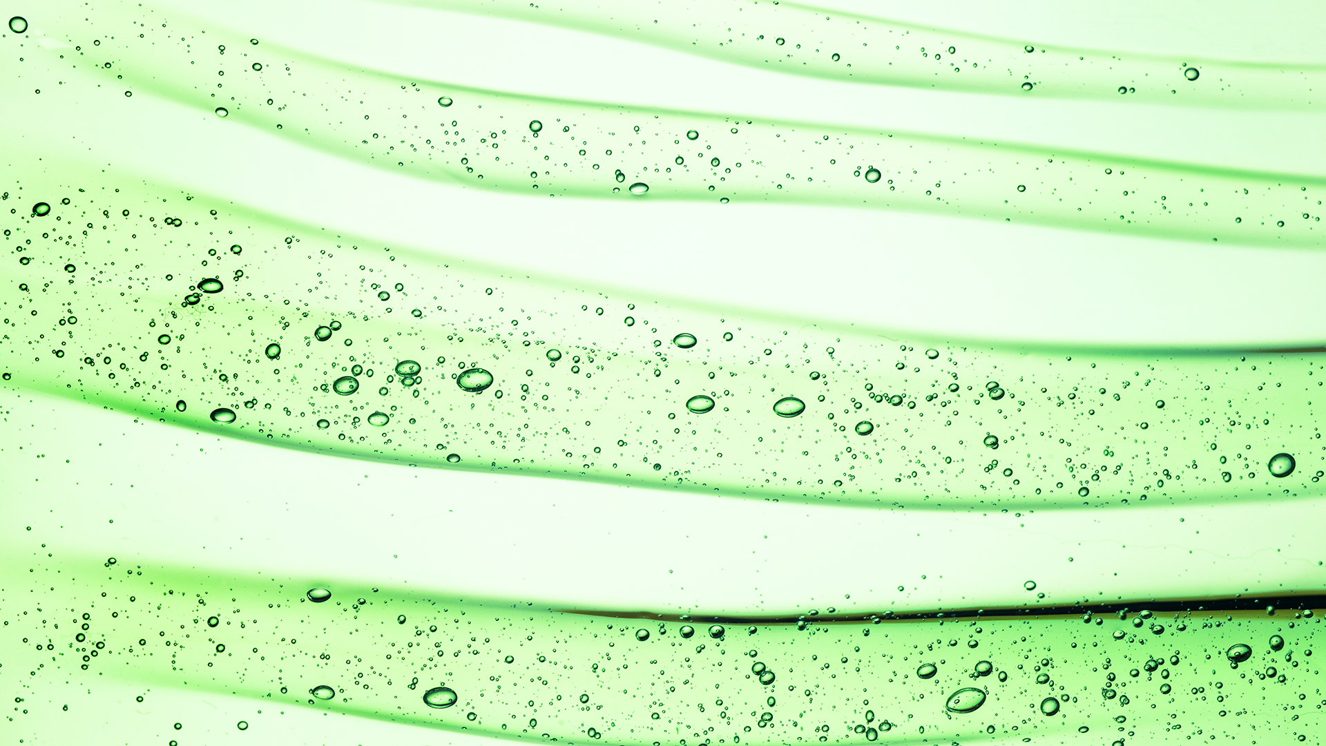 Exploring cannabinoid bioavailability in the medical cannabis industry