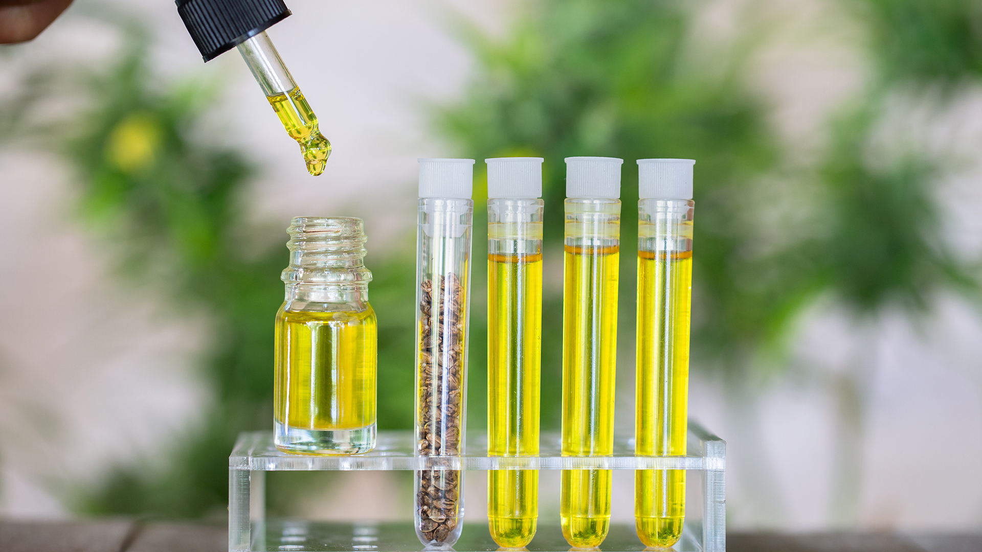 Spektrum Cannabis Technologies: making the complex simple