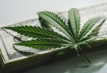 Rize ETF: Europe’s most diversified cannabis equity portfolio