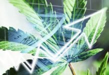 Rize ETF: separating the medical cannabis science from the hype