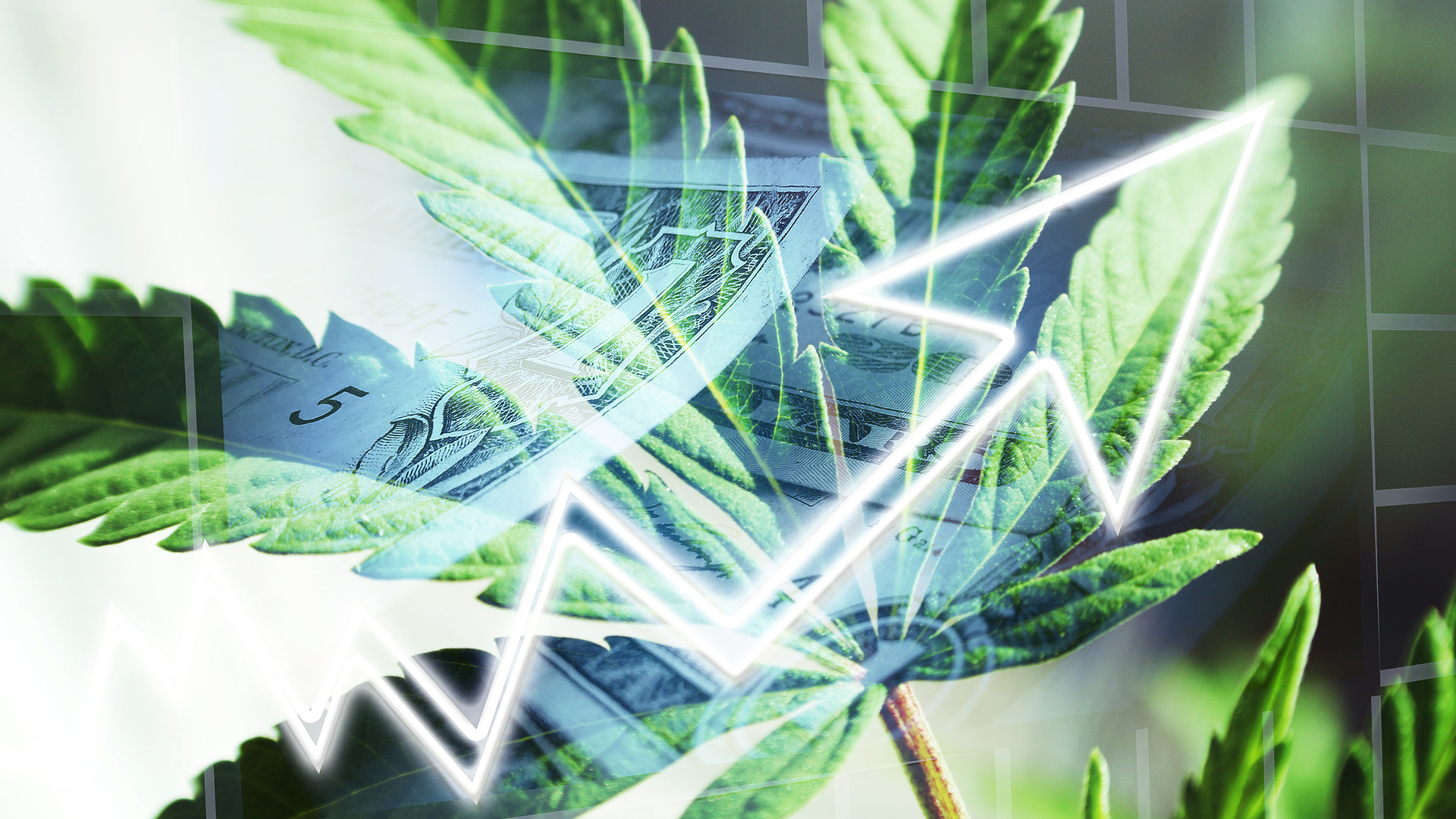 Rize ETF: separating the medical cannabis science from the hype