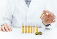 Calls for CBD regulation following inaccurate CBD levels on products Calls for CBD regulation following inaccurate CBD levels on products