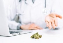 Medical cannabis import restrictions lifted for UK patients Doctor prescribes medical cannabis in his practice