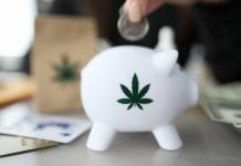 The Medical Cannabis Clinics launches low cost patient access registry