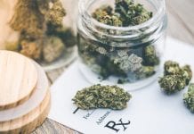Drug Science partnership to improve patient access to medical cannabis